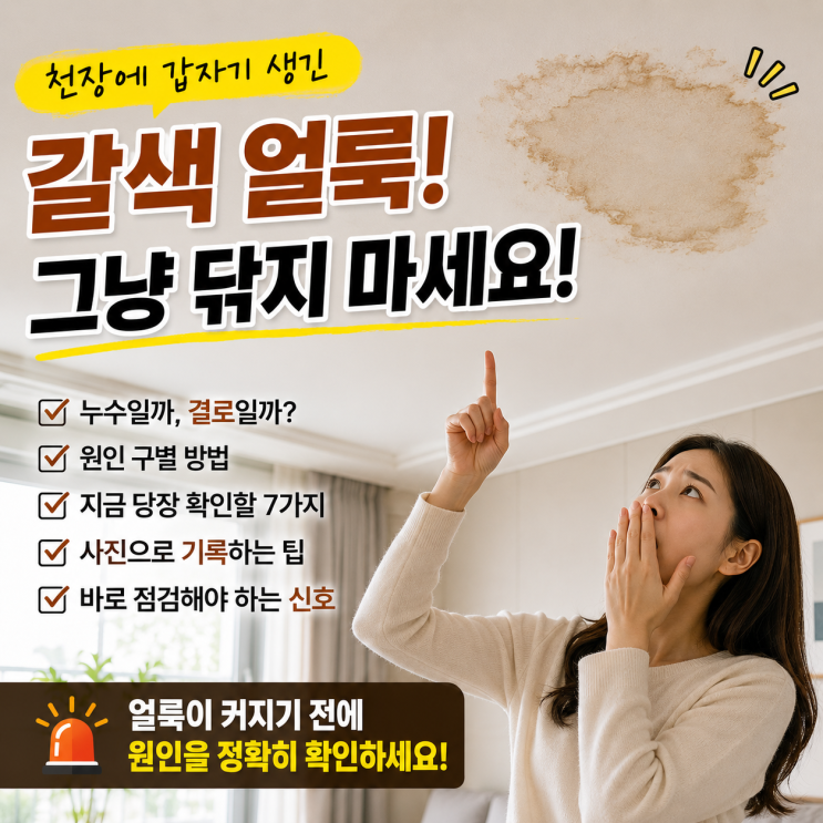 천장에 갑자기 갈색 얼룩이 생겼다면? 그냥 닦으면 안 되는 이유 : 네이버 블로그