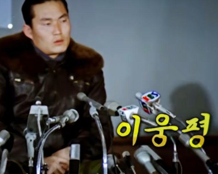 이웅평은 왜 기수를 남쪽으로 돌렸나 귀순 뒤 15억6천만원 보상과 숨....