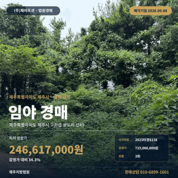 제주임야경매 구좌읍 상도리 부동산경매 2025타경8138 썸네일