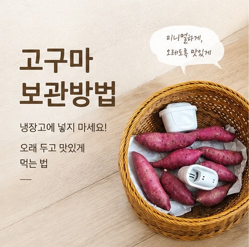 고구마 보관방법, 냉장고에 넣지 마세요｜바구니에 보관하는 현실적인 방법