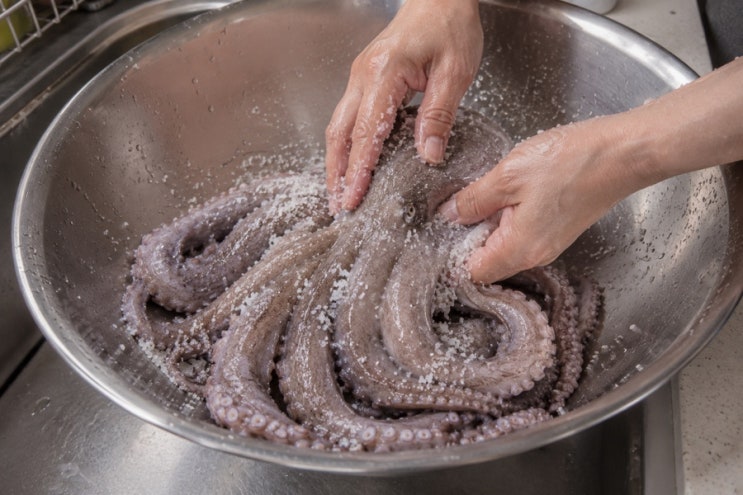 문어 손질법 총정리 | 굵은소금 5분이 8할이에요, 무 넣고 삶는 이유·1kg 13분 기준과 다리 말....