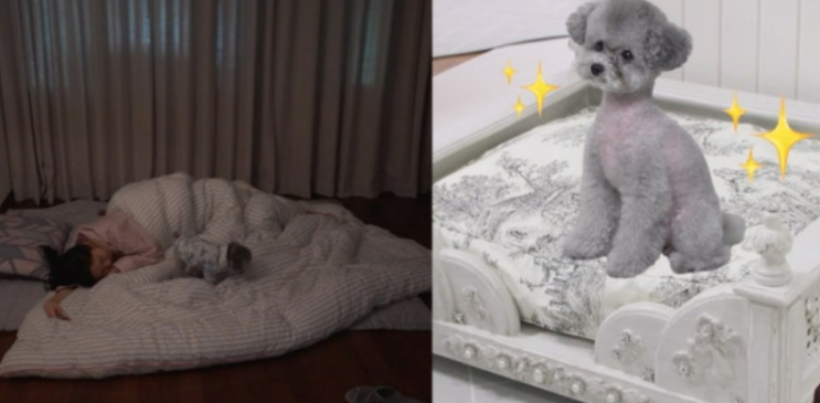 소녀시대 효연 "21년째 바닥에서 잔다".. 허리엔 딱딱한 게 좋다는 말....