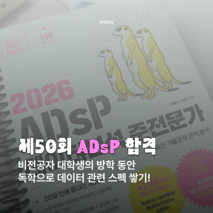 ADsP 제50회 합격 | 비전공자 대학생의 독학으로 데이터 스펙 쌓기! : 네이버 블로그