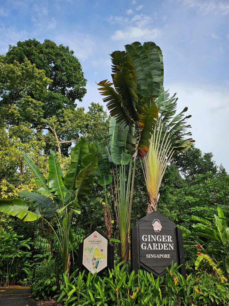 싱가포르 보타닉 가든(Singapore Botanic Gardens)