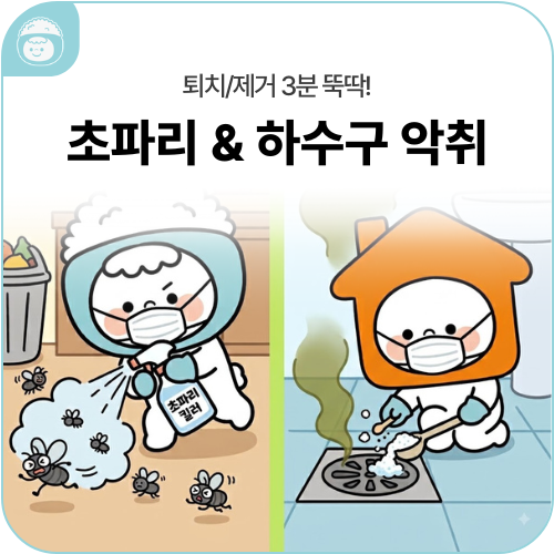 초파리 퇴치 & 배수구 악취 제거 방법! 초보 자취생을 위한 3분 완성 꿀팁