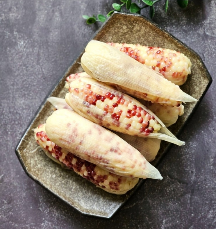 곡성 햇 찰옥수수 삶는법 압력솥 옥수수 맛있게 찌는법