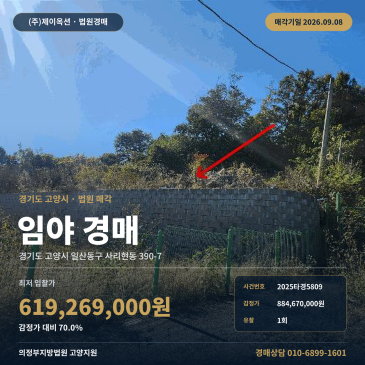 고양산지경매 사리현동 부동산경매 2025타경5809 썸네일