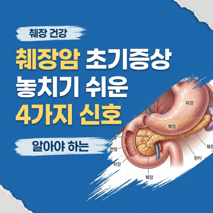 췌장암 초기증상 놓치기 쉬운 4가지 신호와 검사 방법