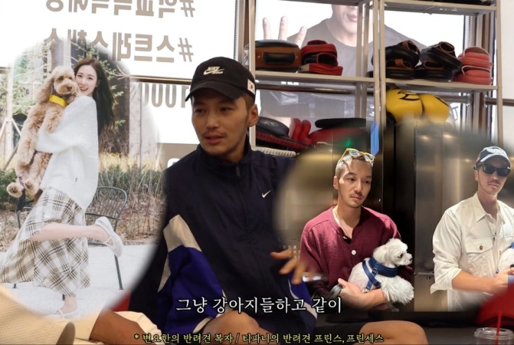 변요한 티파니 영 신혼 생활, 강아지 산책하며 대화하는 두 사람