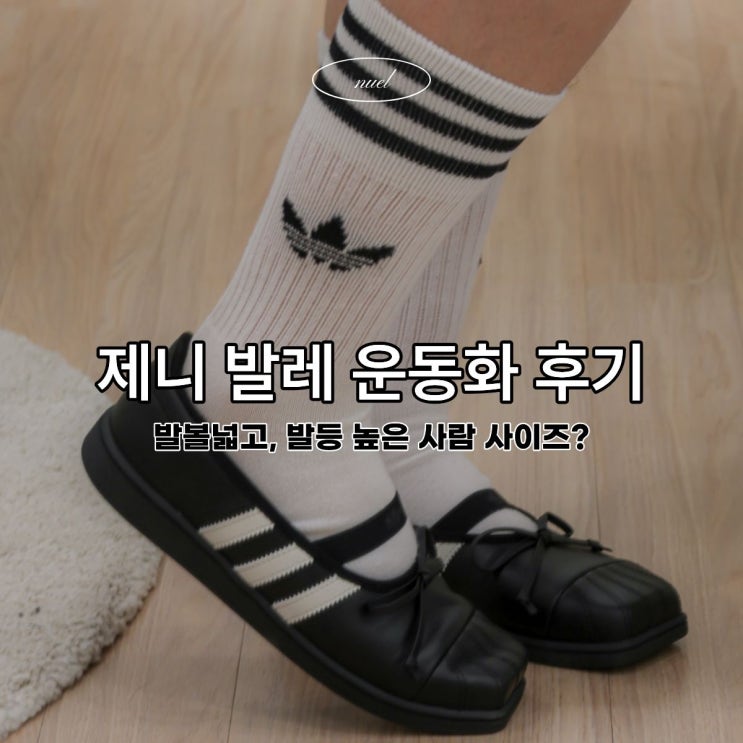 사이즈가 제일 고민.. 제니 아디다스 발레슈즈 운동화 어때?