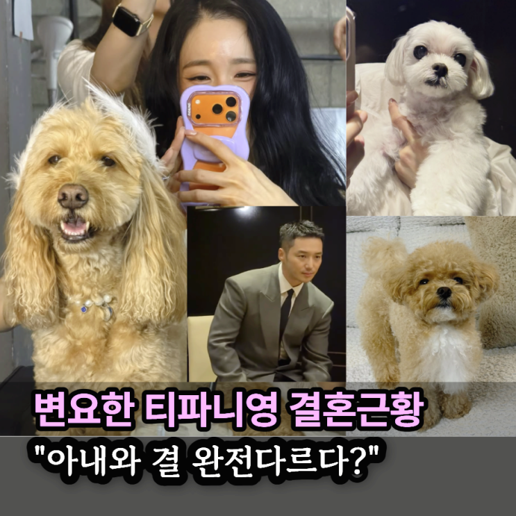 변요한 티파니 결혼 후 근황, 아내와 결 완전 다르다? 신혼생활 공개