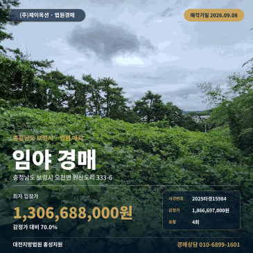 보령임야경매 오천면 원산도리 부동산경매 2025타경15984 썸네일
