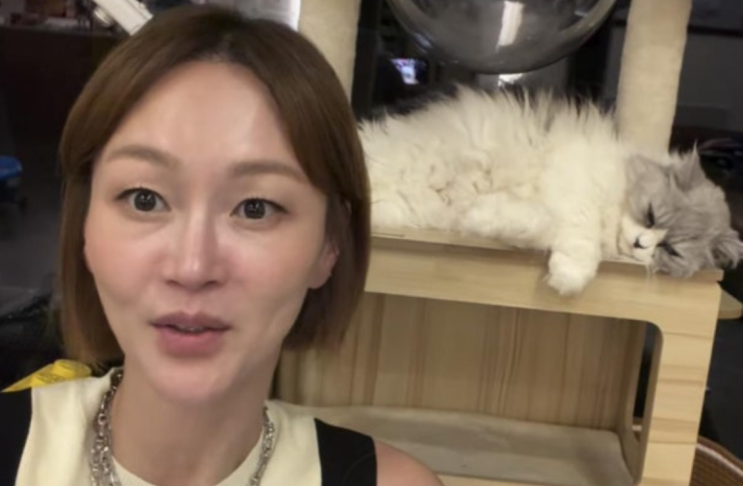 "10년 지나도 악플" 모델 이혜정 반려묘 럭키 파양 의혹 직접 해명한 ....