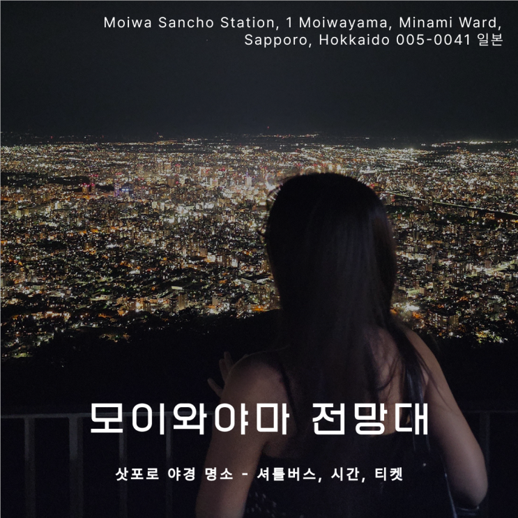 모이와야마 전망대 : 삿포로  최고 야경 명소 모이와산 로프웨이 - ....