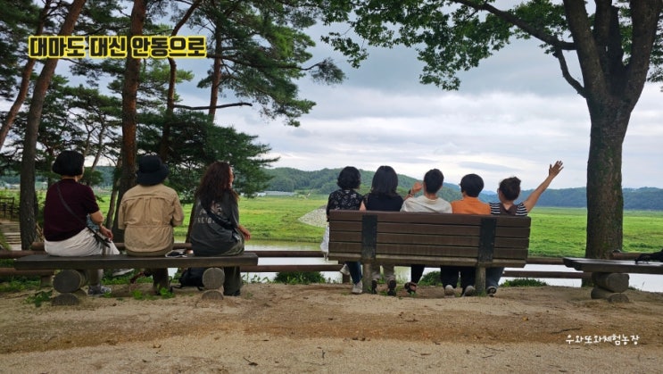 대마도 대신 떠난 안동 당일여행, 예끼마을. 도산서원. 하회마을
