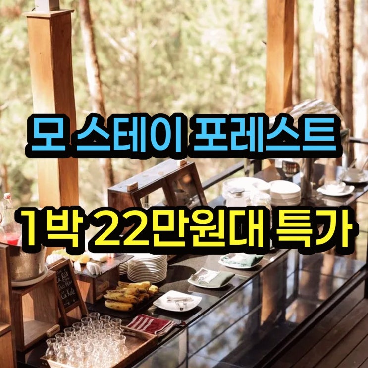 투엔람 호수 모 스테이 - 포레스트 리조트 써봤어요