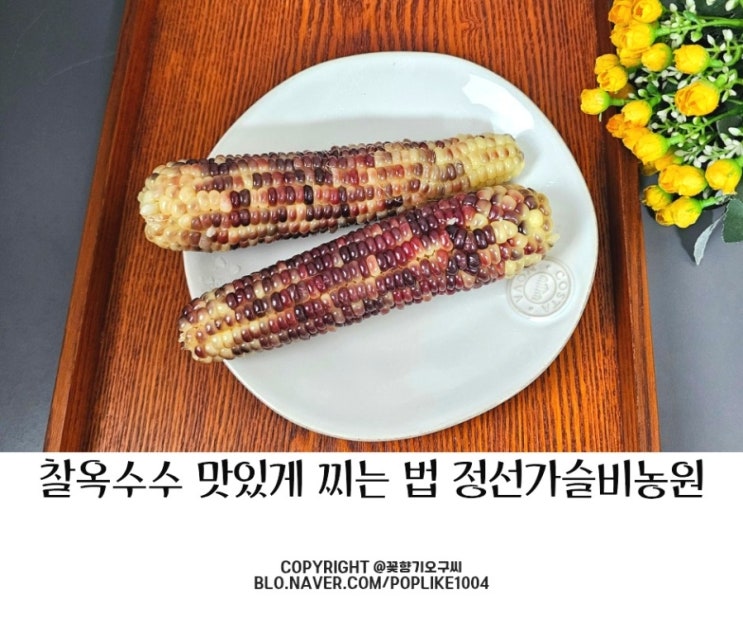 맛있게 찰옥수수 찌는 법 삶는 법 정선가슬비농원 미흑찰옥수수 보관방법