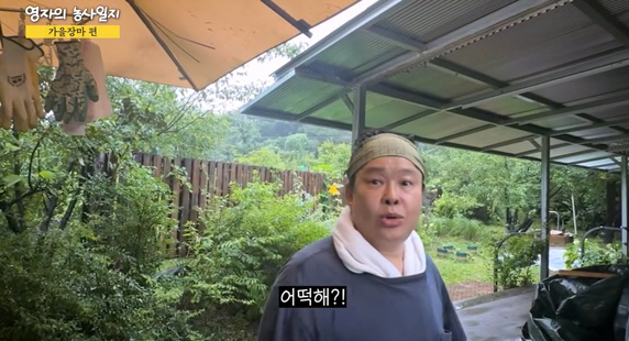 이영자 세컨하우스 텃밭, 가을 장마에 옥수수·토마토 피해