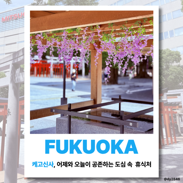 후쿠오카 텐진 가볼만한 곳, 케고신사와 블루보틀 후쿠오카 텐진점