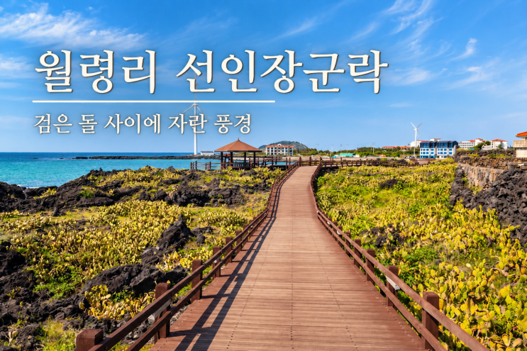 제주 월령리 선인장군락 ｜검은 돌 사이에 자란 풍경