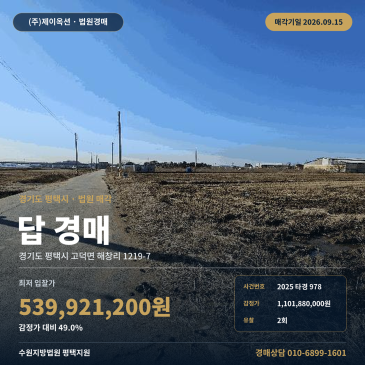 평택 고덕면 농사땅 경매 9월 15일 매각기일 지방도302호선 인근 농지 1180평 2025타경978 썸네일