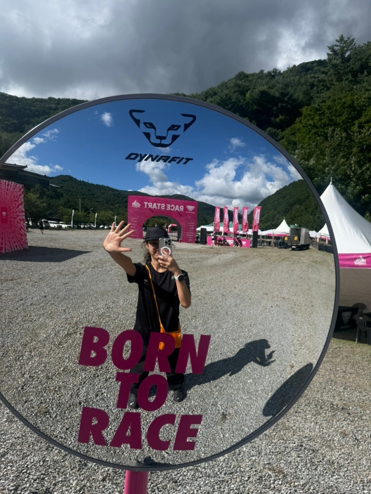 2026 다이나핏 태백 트레일러닝 대회 50K 정보 오투리조트 후기