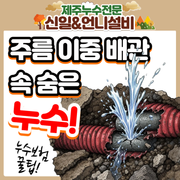 제주도누수 현장 완벽 해결! 여성누수 전문가의 섬세함으로 찾아낸 CD관 속 숨은 누수 포인트