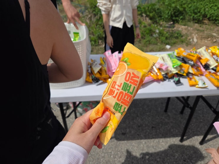 철원 DMZ 국제평화 마라톤대회 하프 완주 일기