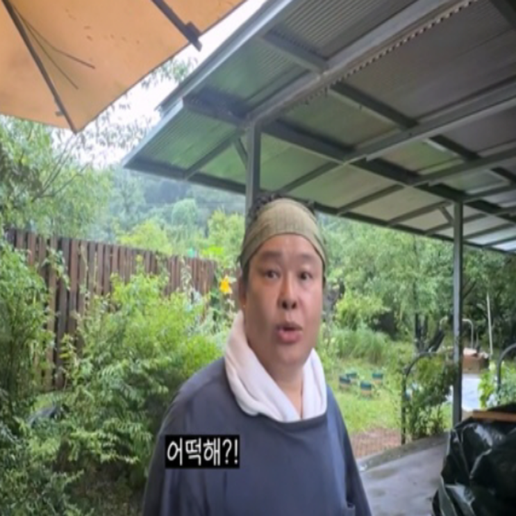 장마에 초토화된 이영자 텃밭… 남은 채소 볶았더니 제작진까지 "초....