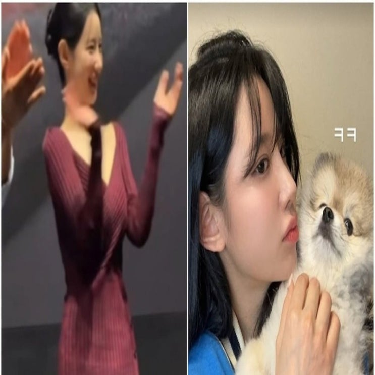 조현, 민망 의상 논란 후에도 평온한 일상 공개...반려견과 함께 "ㅋ....