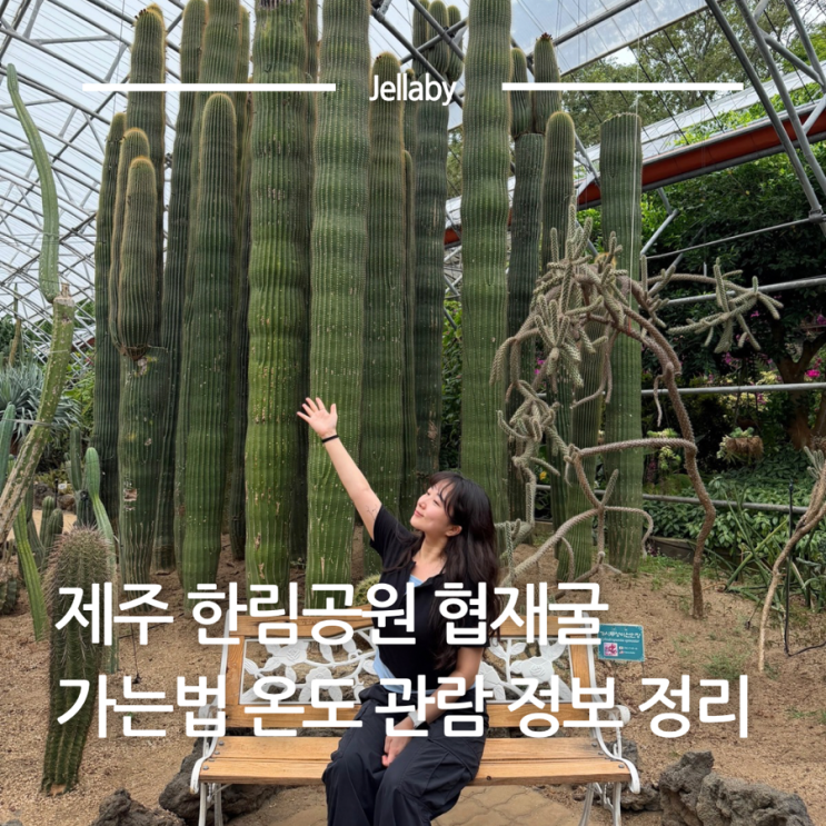 제주 한림공원 협재굴 가는법 온도 애견동반 주차장 입장료 할인 총....