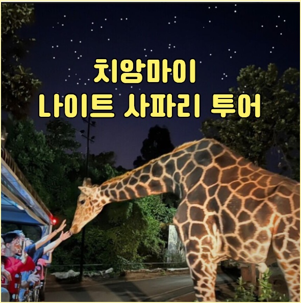 치앙마이 나이트 사파리 투어 입장료 가격 할인 예약 후기, 아이와 ....