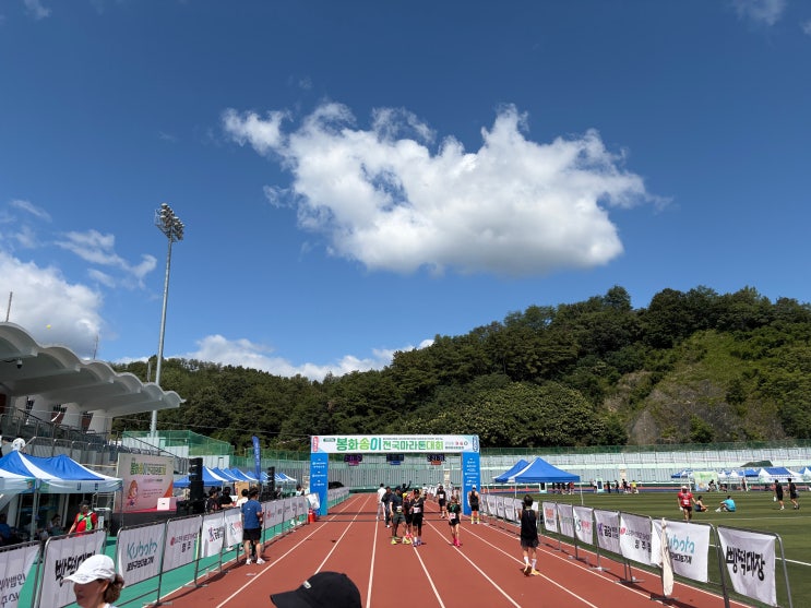 2026 제14회 봉화 송이 전국 마라톤 half 하프코스 후기