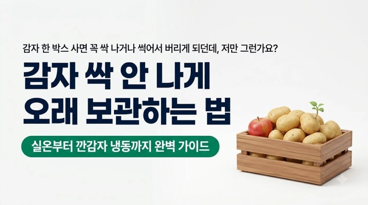 감자 보관방법 싹 안 나게 오래 신선하게 깐감자 냉동까지 완벽 가이드