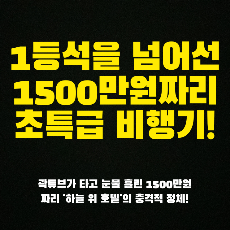 1등석을 넘어섰다? 곽튜브가 타고 눈물 흘린 1500만원짜리 '하늘 위 ....