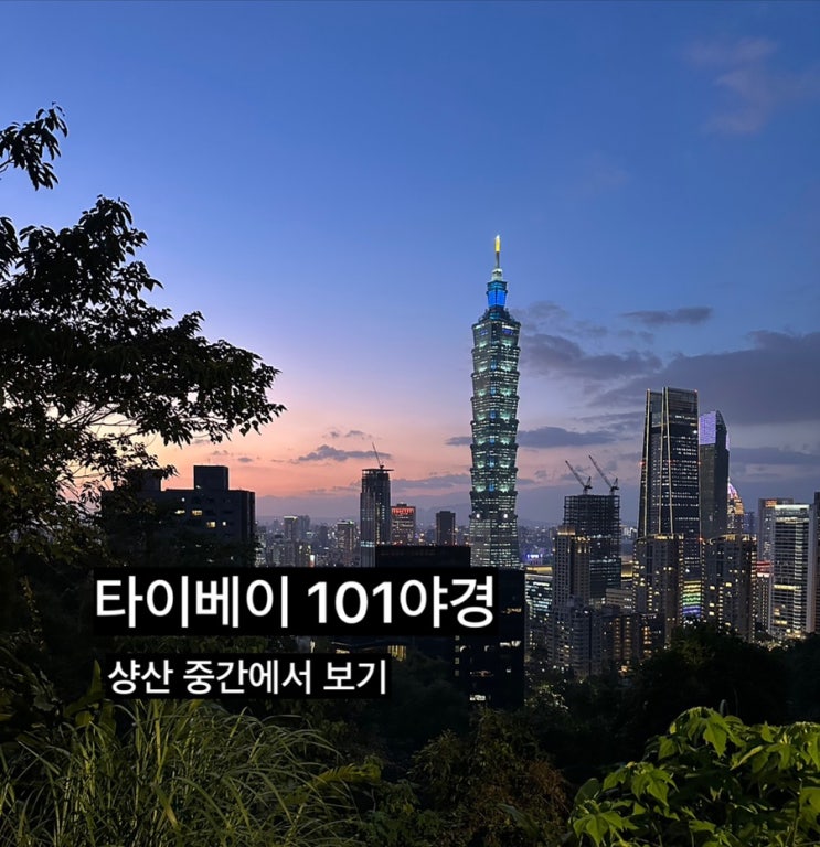 [타이베이 여행] 대만 샹산전망대 가는법 | 타이베이 101야경, 정상까....