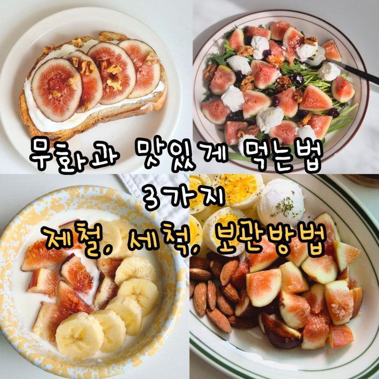 무화과 맛있게 먹는법 3가지 제철 세척 보관법까지 총정리