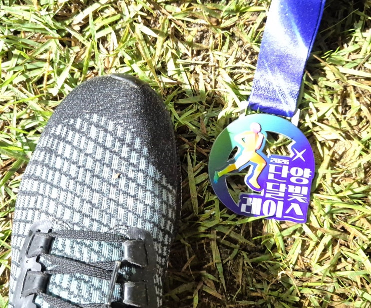 2026단양달빛레이스 10K 후기 , 여름밤 달리기 좋은 대회로 추천