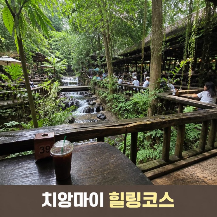 치앙마이 치앙라이 여행 5일 코스 추천ㅣ백색사원, 도이수텝, 정글....