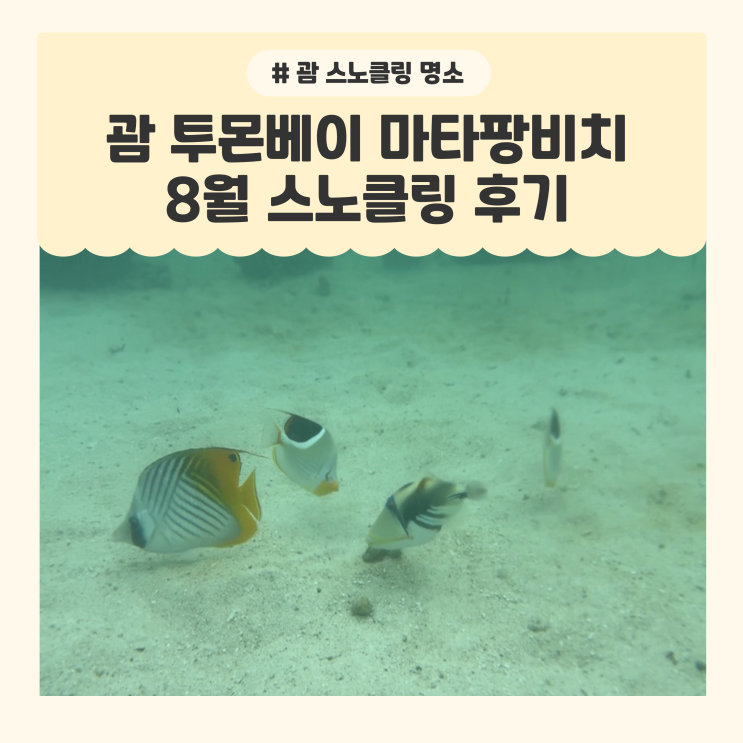 #15. [8월 괌여행기] 크라운플라자리조트 괌 투몬베이 마타팡비치 스....