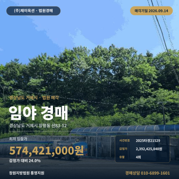 경남 거제시 장평동 산83-12 임야 경매 국도14호선 접한 4,308평 산림토지 매각조건 사전 검토 창원지법 통영지원 2025타경21529 썸네일