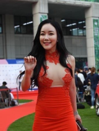 낸시랭 음주운전 적발, 새벽 강남서 무슨 일이… 면허취소 수준 충....