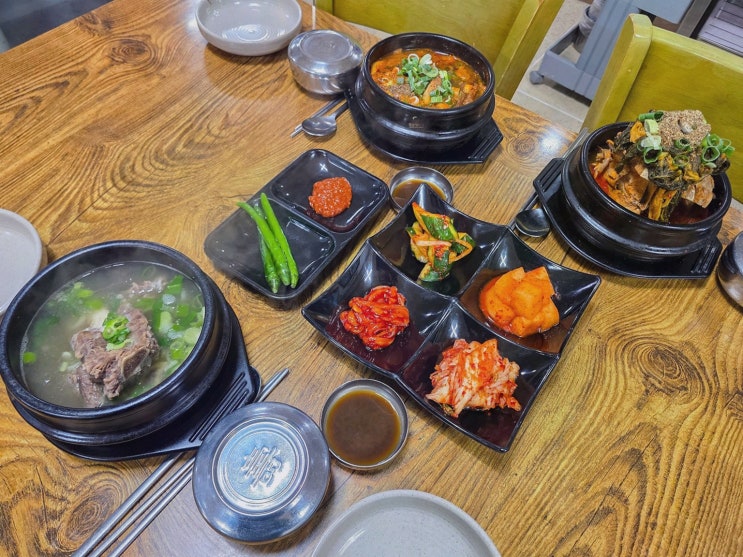 영진보말칼국수 제주협재점 제주 협재 맛집, 아침 해장국부터 보말까지 딱