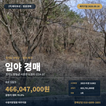중미산로 2차선 접한 양평 서종면 도장리 산14-37 임야경매 2025타경31062 썸네일