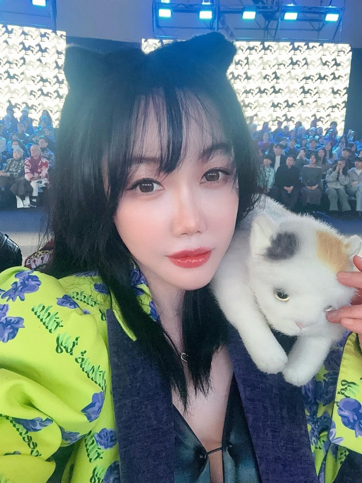 만취 상태로 강남 한복판 운전, 낸시랭 음주운전 혐의 입건과 예상....