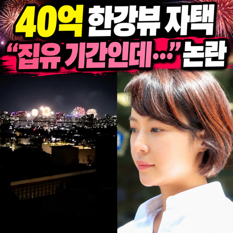 황정음 40억 이태원 자택 불꽃놀이 인증 후 집행유예 논란 재조명된 이유