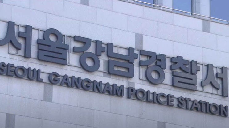 “면허취소 수준”…낸시랭, 강남서 음주운전 혐의로 입건