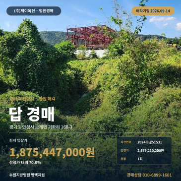 안성농사땅경매·농지ㅣ보개면 기좌리 160-3ㅣ2024타경51531 썸네일