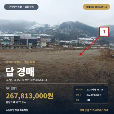 양평 옥천면 옥천초등학교 인근 농지와 답 농사용토지 경매 353평 2024타경41715 썸네일