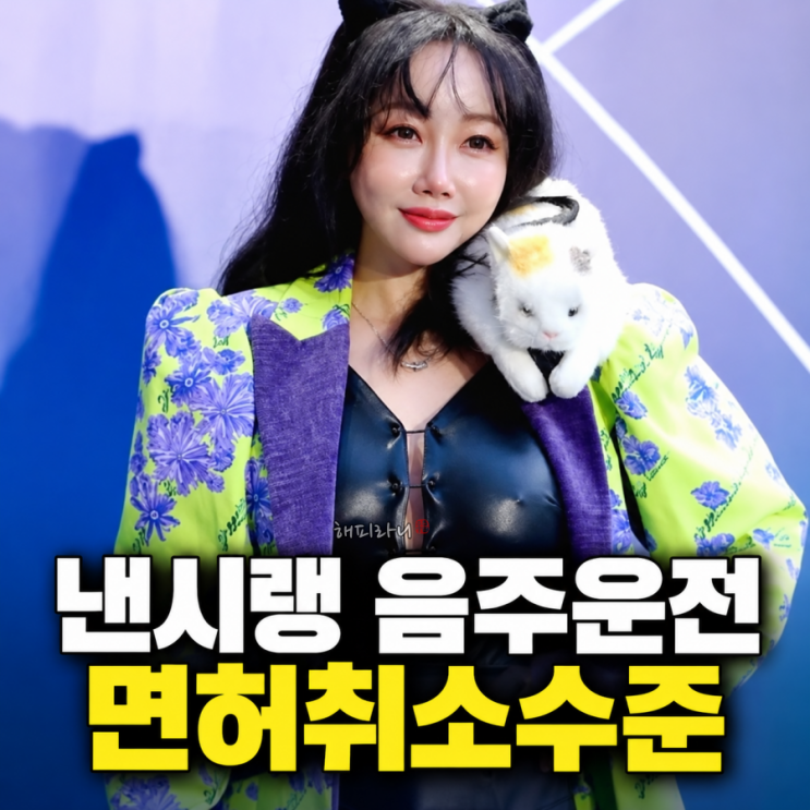 낸시랭 음주운전 입건 나이 프로필 남편 왕진진 이혼 근황